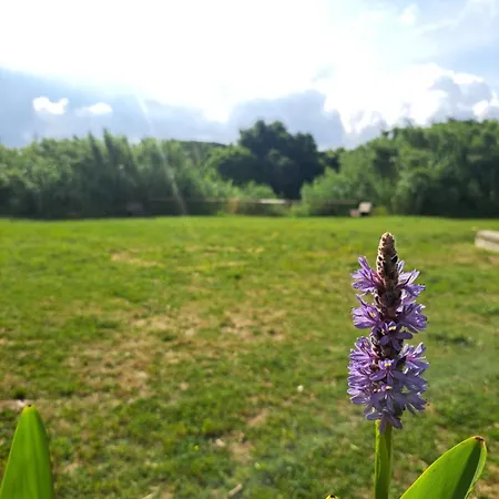 Appartamento Lacasadirosa