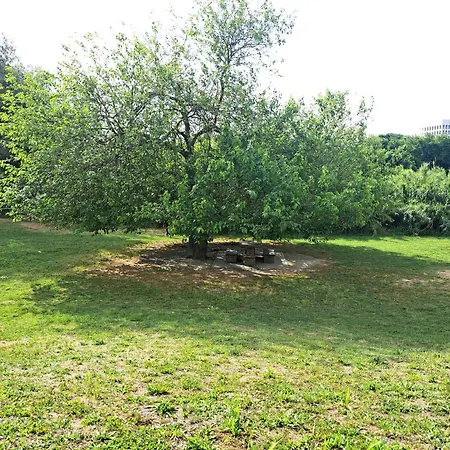 Lacasadirosa Lägenhet *