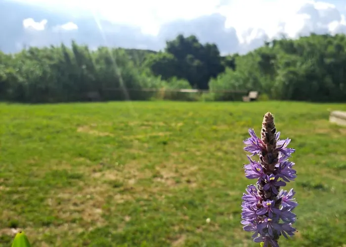 Apartamento Lacasadirosa